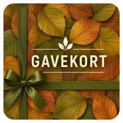 Gavekort til Systofte Skov