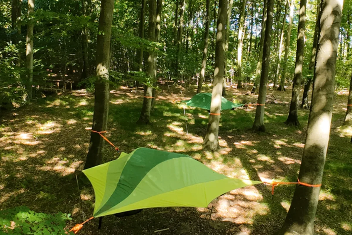 SKYCAMP i Systofte Skov